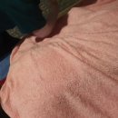 엄지손체형관리 - 광양시 매일시장길 42-1 | 엄지손체형관리