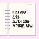 임신 입덧 완화 초기에 잡는 효과적인 방법
