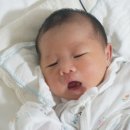 닥터마레산부인과 네이버블로그