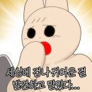 샌드선샤인 이미지