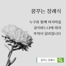 등칙골 1길 이미지