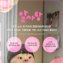 알사탕 중앙뉴스라인