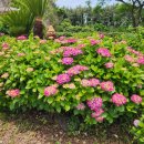 도량