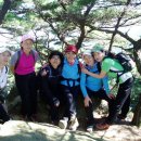 제2불암산악회 이미지