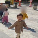 알차게 보낸 24년 가을 진짜 안녕 🤎🍂🍁
