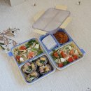 제때한끼 | 어린이집 소풍도시락, 밀프랩 추천! 코코라커 밀폐용기 도시락 반찬통 사용후기