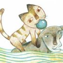 개와고양이 이미지