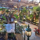 올드팝스 | [강화도 대형 카페]가족들과 가기 좋은 빈티지 박물관 카페 '조양방직'