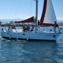 국제 행정사 사무소 이미지