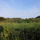 세계오지민속박물관 이미지