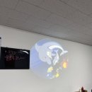 돌고래식당 이미지