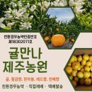 만나농장 티스토리