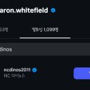 애런 화이트필드 NC 다이노스 팔로우 이미지