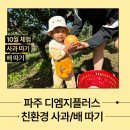 도라산농장 이미지