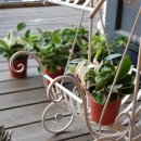 미니마차 이미지