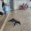 🇬🇪 주그디디 근교 필수 코스? 마르트빌리 협곡 솔직 후기! 왕복 3시간, 보트는 20분