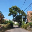 애월치과의원 이미지