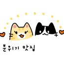 맨션드도쿄 이미지