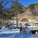 산삼자연휴양림(함양) 이미지