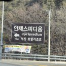 강원도 애견동반여행 인제 스피디움 애견동반콘도 펫룸