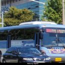 군청사거리~신정사거리 이미지