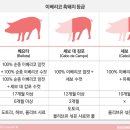 세보마트 이미지