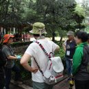 노온정수장(숲길) 이미지