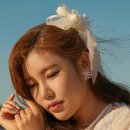 나우패스트 이미지
