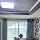 맘앤독스 네이버블로그