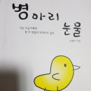 제주 1년 살기 일상[110] ; 우리의 성탄 연휴 이미지