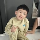 지예뜰유치원 이미지