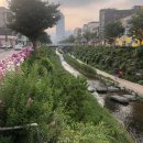 아마존실내낚시터 | 부천 아마존 실내낚시 카페 (🎣+☕️ = 👧🏻❤️👶🏻) : 부천 심곡동 실내낚시터 추천 / 주말 부부 취미 / 낚시...