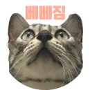 베베짐(BEBEGYM) 이미지