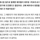 박세완님 인터뷰 중 쏨님 언급! 이미지