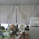 황동물병원 이미지