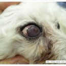 유앤동물의료원 이미지