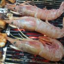 통통장어 이미지