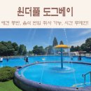 아이러브도그 | 안성애견동반수영장 : 시간 무제한, 음식 반입, 취사 가능한 원더풀도그베이
