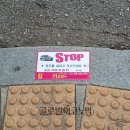 르노삼성 중원자동차 이미지