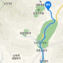 야생화테마펜션 이미지