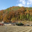 마한농장 이미지