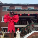 용산-현장-82 | [공지] [서울 용산공원] 아이폰 크리스마스 스냅 🎁