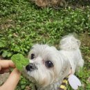 강남25동물병원 이미지