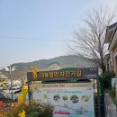 봉하마을 묘역화장실 이미지