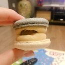 더스쿱 스쿱당 이미지