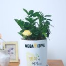 컴포즈커피정선민둥산역점