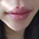 신사1-005 | 소프트 벨벳 텍스처 실키블러틴트 아르떼신사 05호 어피어 사용 후기