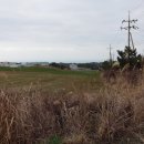 엘리시안타운 앞 이미지