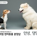 경기도 수원시 팔달구 효원로219번길 46-4 (인계동) 이미지
