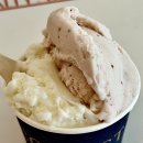 효원가든 | 정자역젤라또 맛집 쿨리스트 쌀알 &amp; 설향 딸기맛 후기